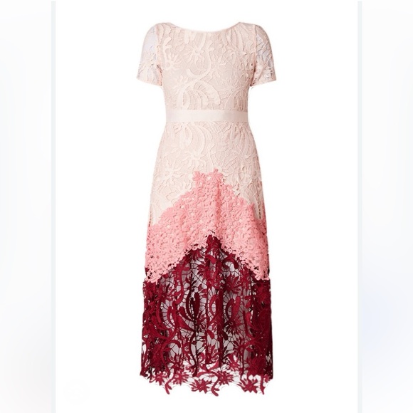 Maje Romarin Ombre Lace Midi Dress - Picture 8 of 9